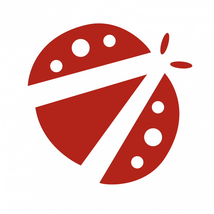 coccinelle-co-pilotes